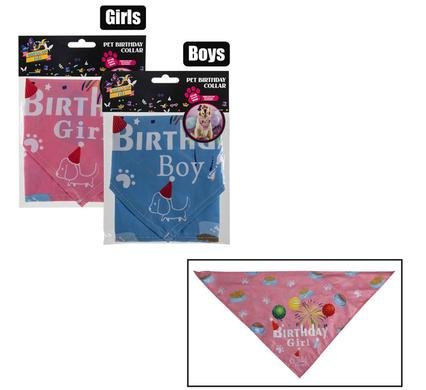 Dress up pet birthday collar