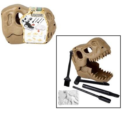 Edu excavation dinosaur fossil in skull