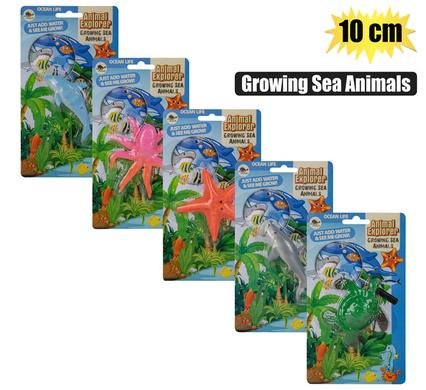 565-000401 Novelty growing sea animals 10cm asstd
